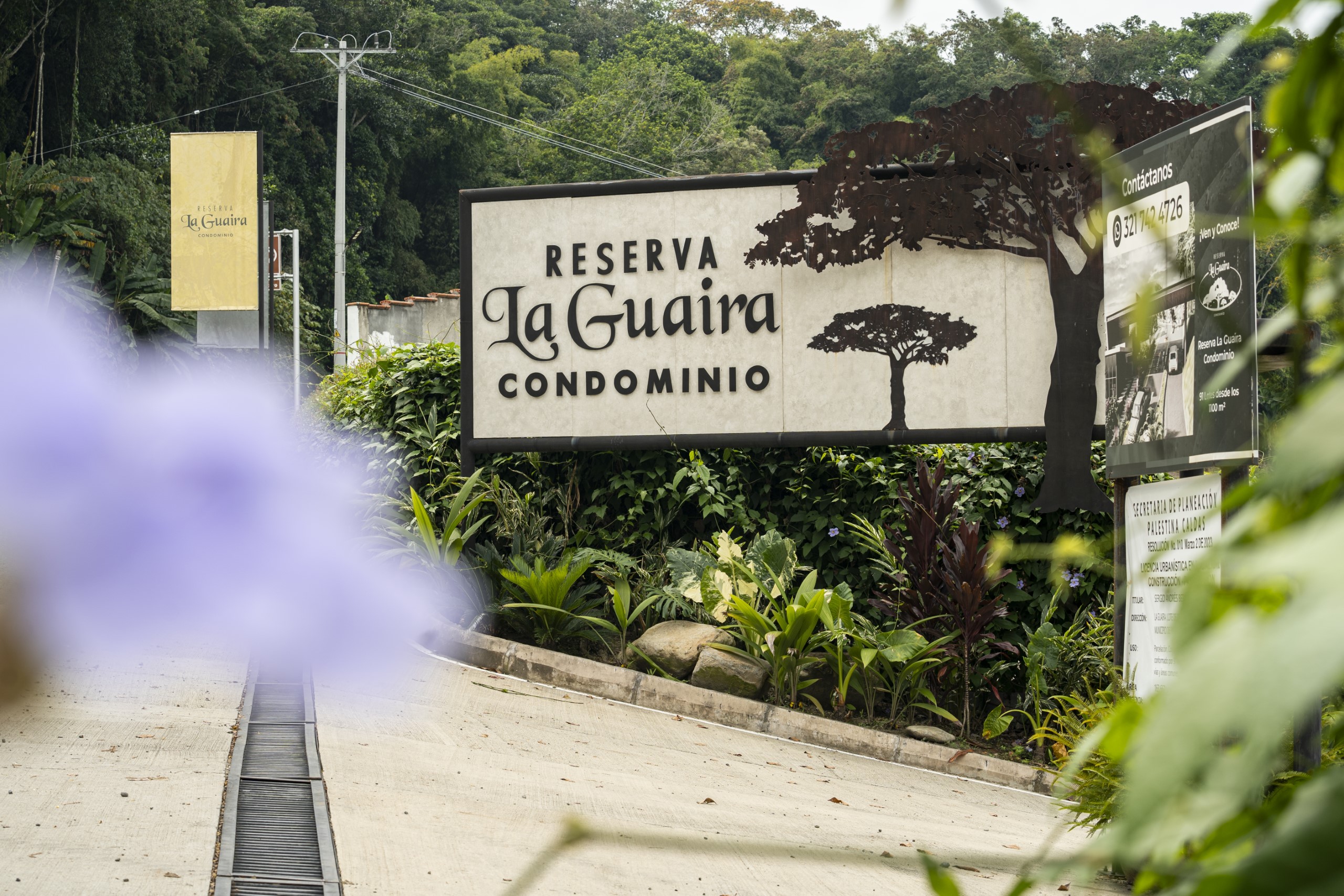 _DSC5493shc (Custom)