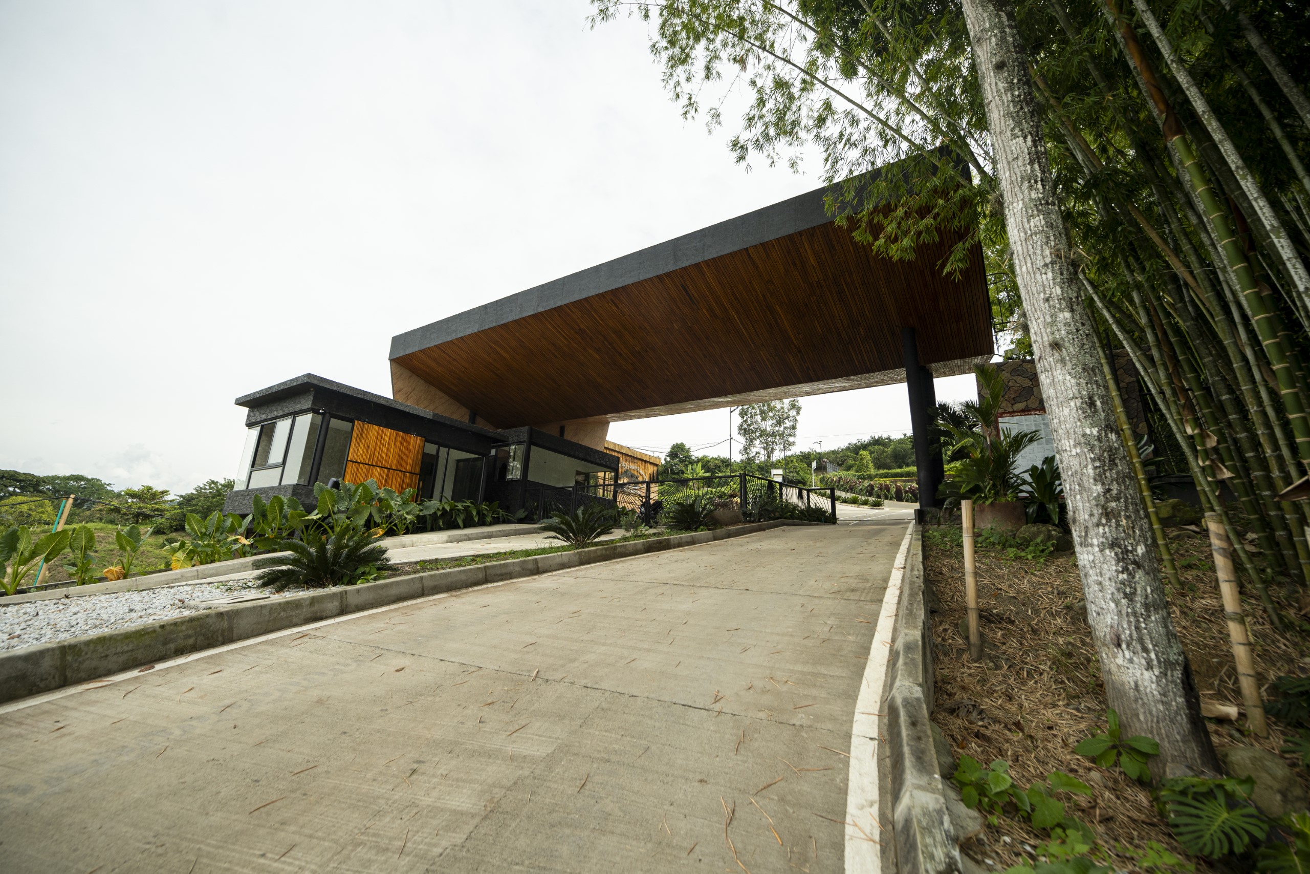 _DSC5526shc (Custom)