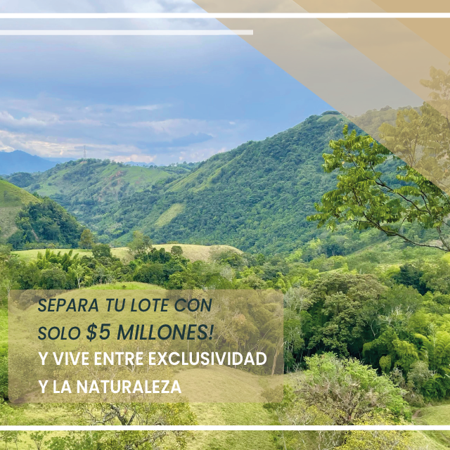 BM 2_Mesa de trabajo 1_Mesa de trabajo 1