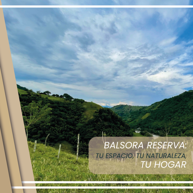 BM 3_Mesa de trabajo 1