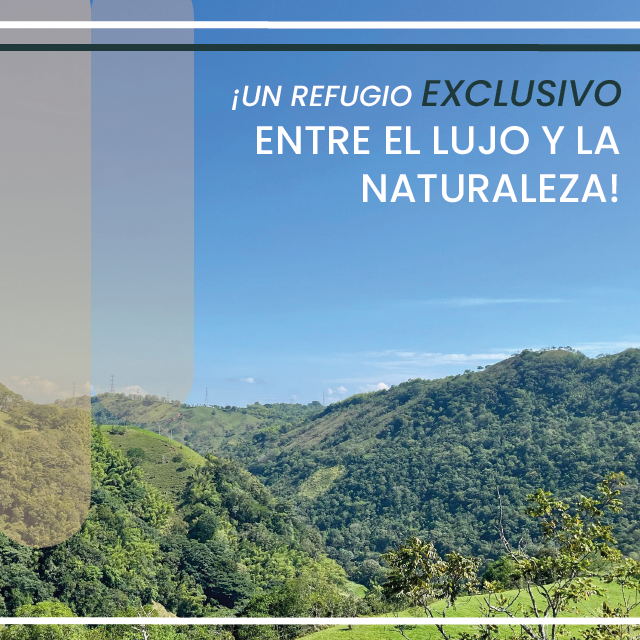 BM1_Mesa de trabajo 1